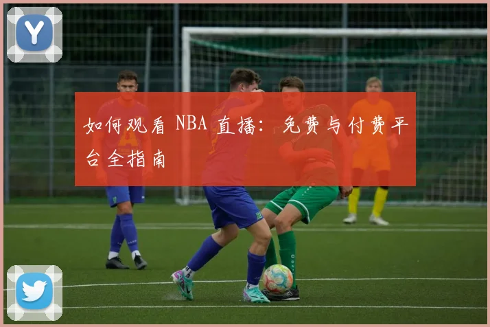 如何观看 NBA 直播：免费与付费平台全指南