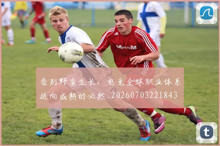 告别野蛮生长，电竞全球职业体系迈向成熟的必然_20260703221843