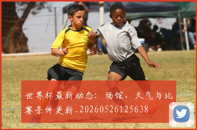 世界杯最新动态:场馆、天气与比赛条件更新_20260526125638